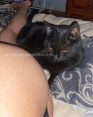 Анкета проститутки Тая - метро Таганский, возраст - 21